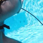 Scuba diving Porno Videos