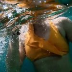 Scuba Fetish Porn Videos: Best Full HD 1080p XXX 2026
