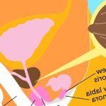Prostate Activation for Trans Women