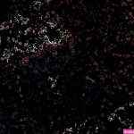 Steam Community :: Meet and Fuck Kingdom