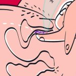 G-Spot 101: The Only Guide You Need on How to Find the G-Spot NEW