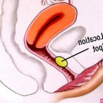 How to Finger a Girl: Expert Techniques for Maximum Pleasure