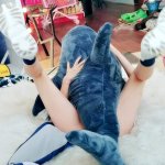 If youll ever get a question:Hey how would Shark porn look like?- send them this! gawrgura