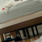 Mackenzie Davis Topless Lingerie in Izzy Gets the Fuck Across Town