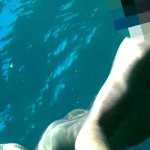 Nude diving and snorkeling in the sea