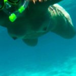My naked diving on a public beach