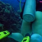Couple Get Naked on SCUBA!