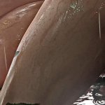 Cammy White Street Fighter Nagoonimation4K