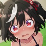 ROL ARGENTINITA. MAIZENAMIA Posts and Replies X