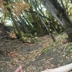 nudist guy walks into the woods naked and masturbates