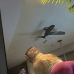 winterrayne winterrrayne Nude Leaked OnlyFans