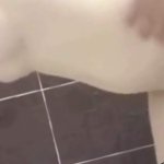 Phim Sexvlx Porn Videos: 720p HD XXX 2026